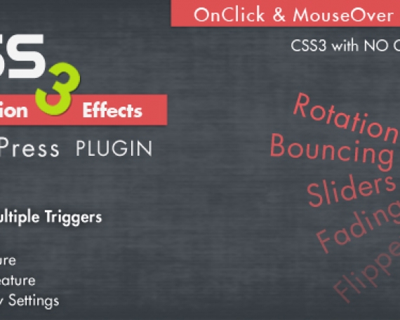 Animation CSS3 Effects WordPress Plugin